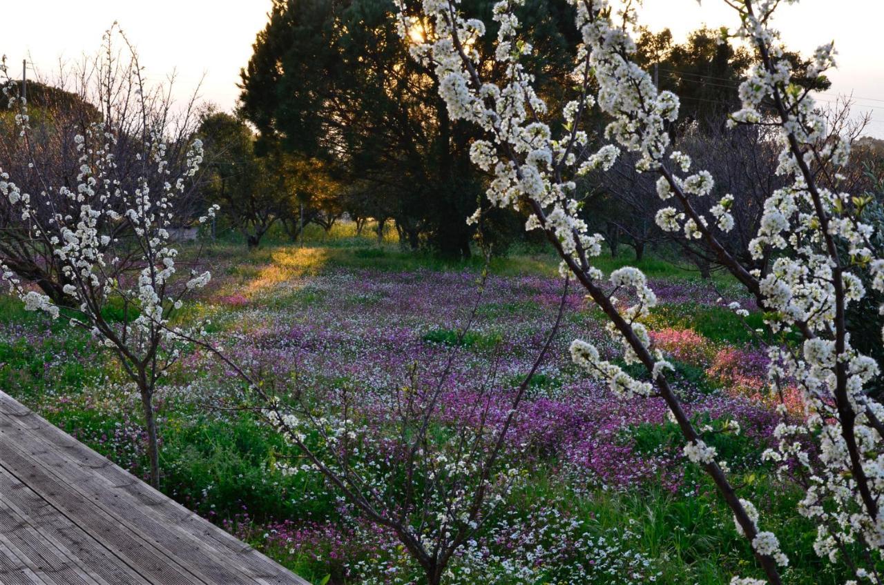 Villa Aliki Petrochori  Luaran gambar